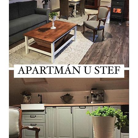 Apartman U Stef Borotice Εξωτερικό φωτογραφία