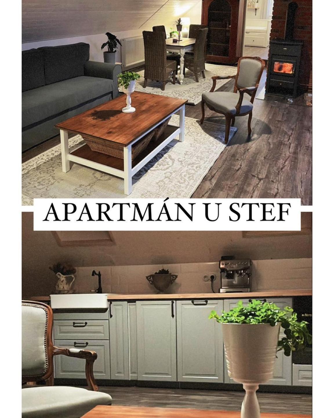 Apartman U Stef Borotice Εξωτερικό φωτογραφία