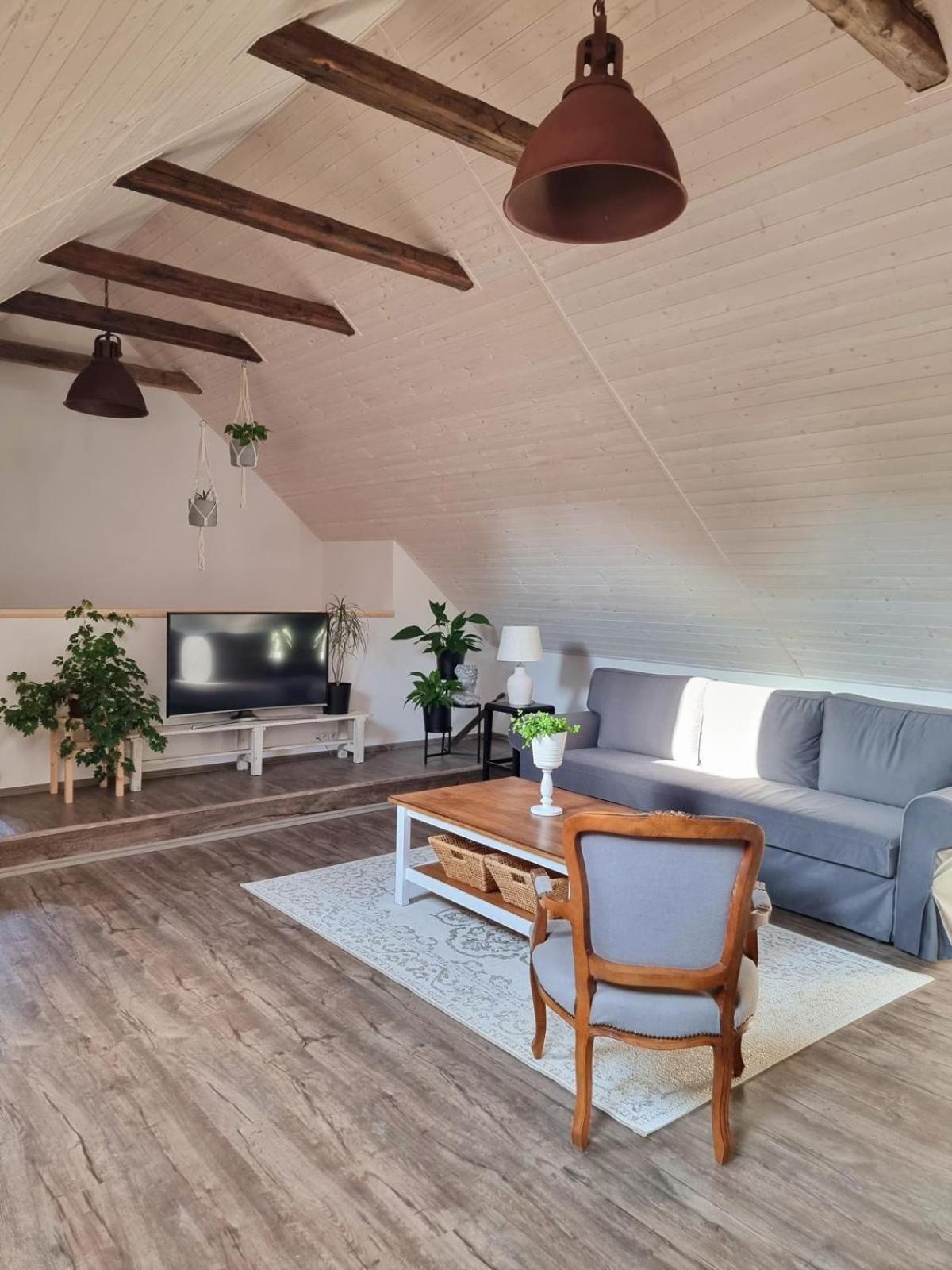 Apartman U Stef Borotice Εξωτερικό φωτογραφία