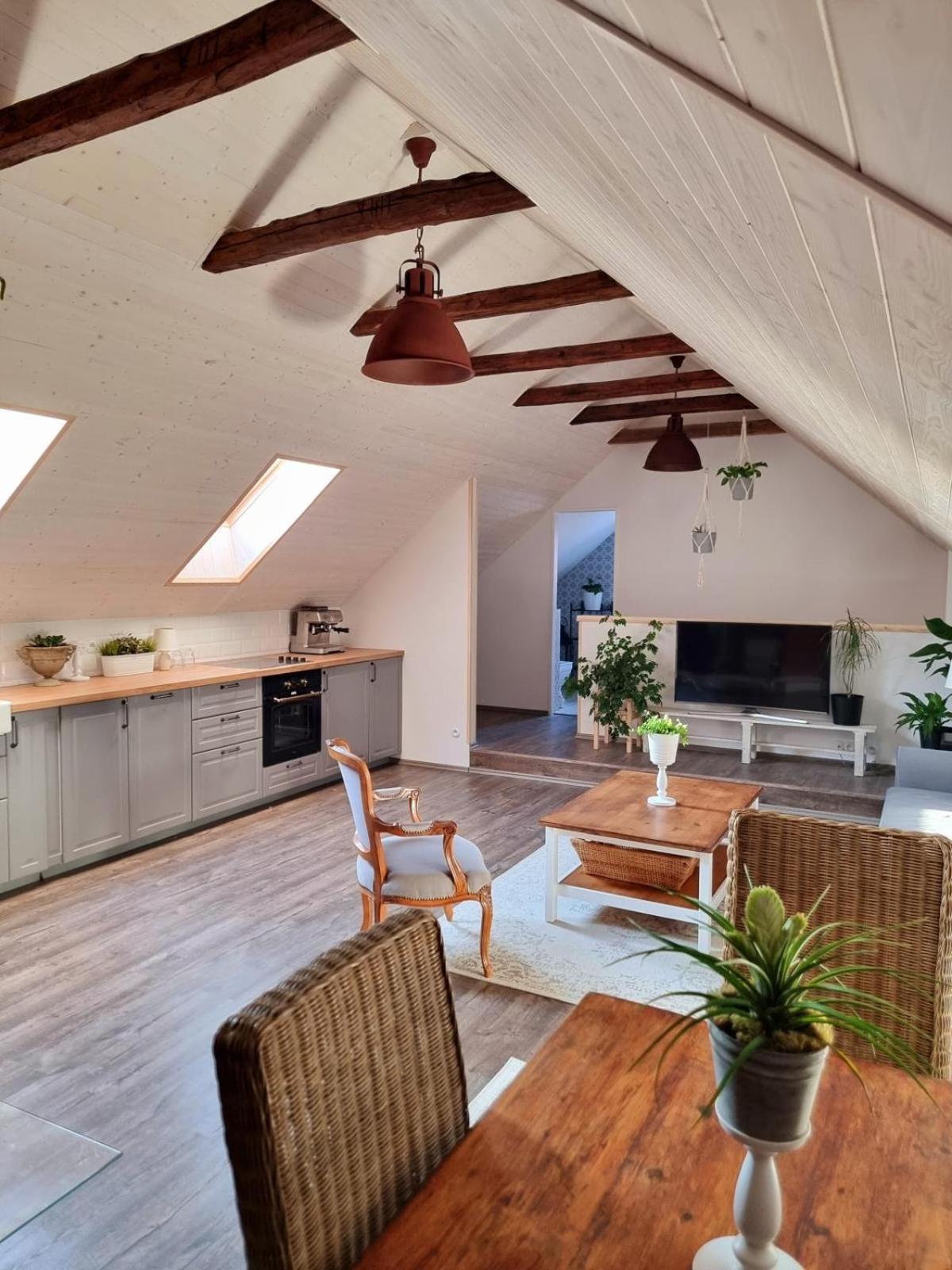 Apartman U Stef Borotice Εξωτερικό φωτογραφία